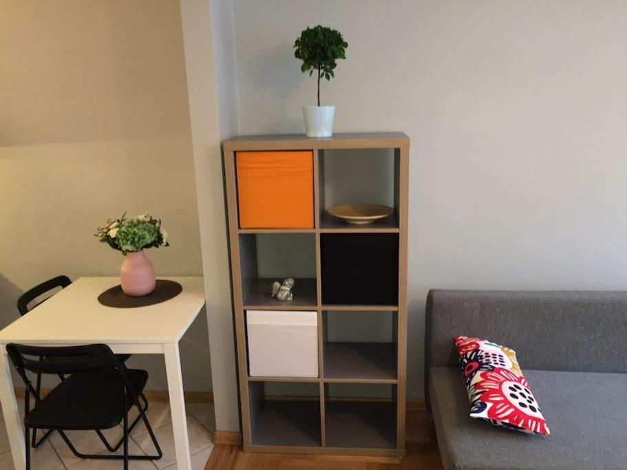 57 Lobzowska Bright Apartment 克拉科夫 外观 照片